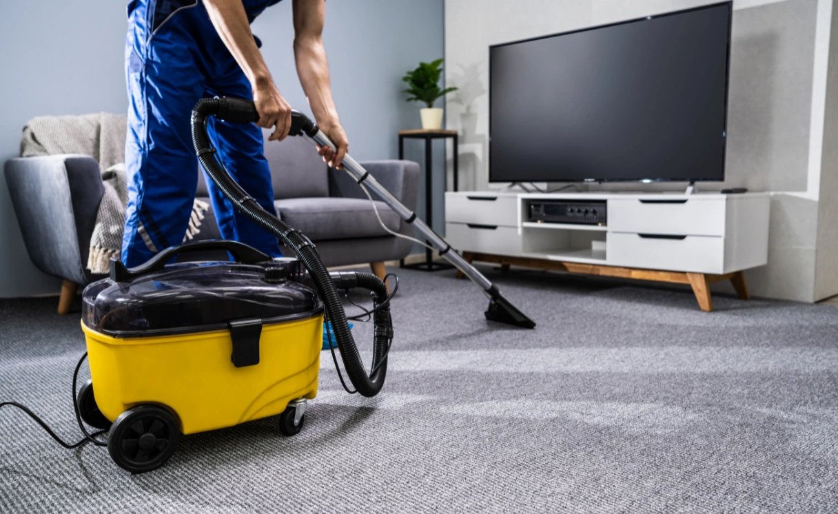 Extract Carpet Cleaning Elsternwick Contact Office